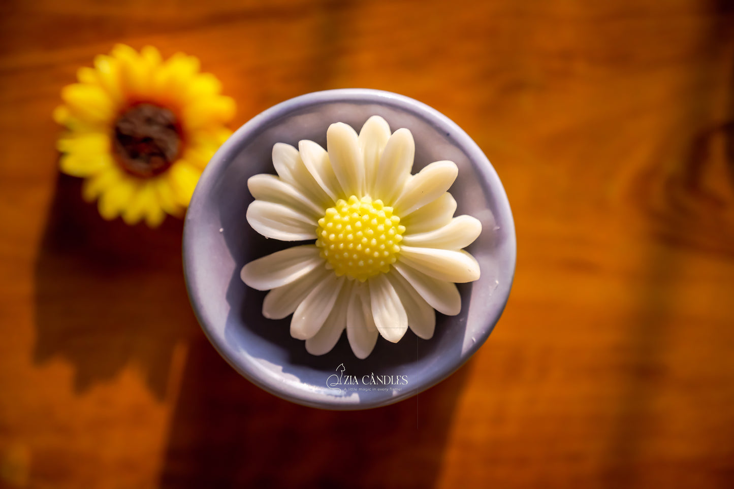 Daisy